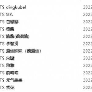 1.天使元气：TS、伪娘、跨性别服装2.Dingkubel芭娜娜：李智贤系列服装3.SIA橙酱：露丝妹妹宋璇系列服装4.酱酱雅雅：俞喵喵元气美美系列服装5.紫苑