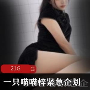 PR社女神喵喵梓合集：21G视频大放送，绅士福利不容错过